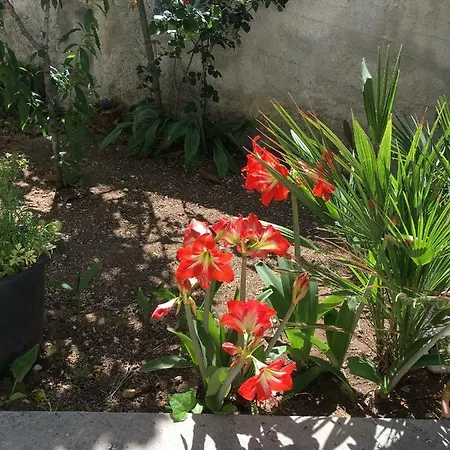 Holiday home Casa Demi